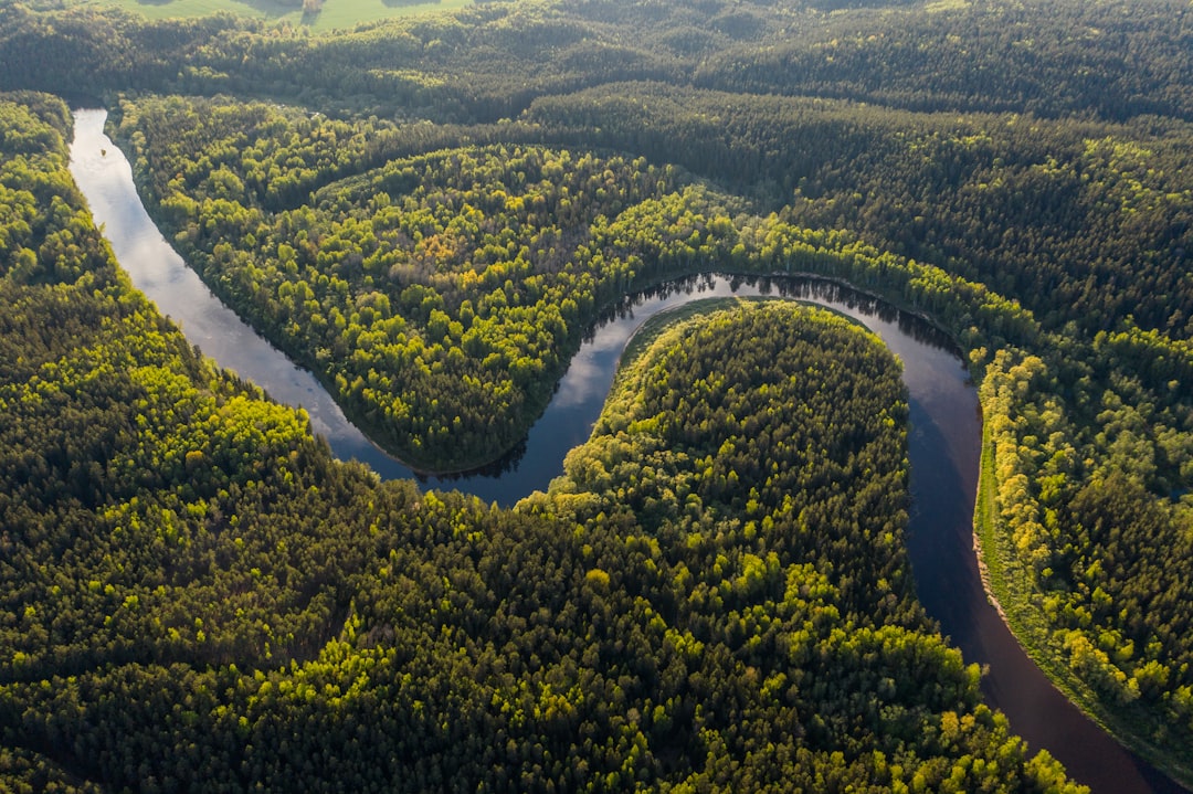 Río y masa forestal vistos desde el aire para estudios ambientales