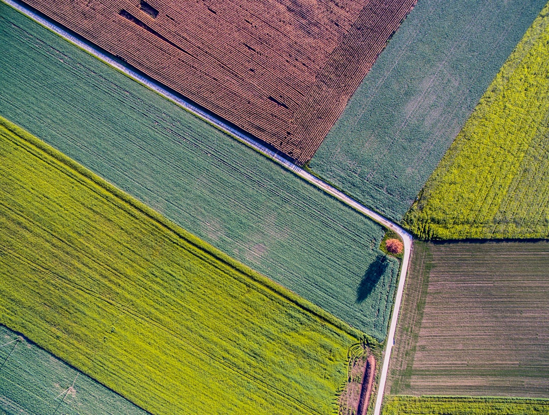 Paisaje agrícola visto desde el aire, representativo del suelo rural