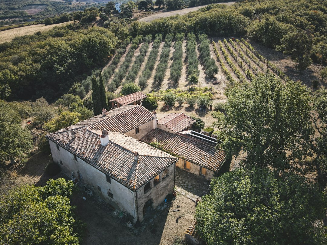 Vivienda rural rodeada de vegetación en un entorno de suelo no urbanizable